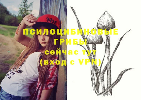 спайс Пересвет