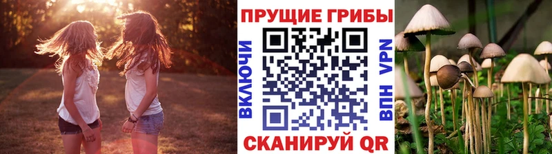 Псилоцибиновые грибы MAGIC MUSHROOMS  сколько стоит  это официальный сайт  Духовщина 